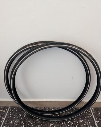 Copertone da corsa RANDONNEUR 700x28 - coppia