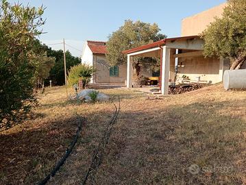 casa con terreno
