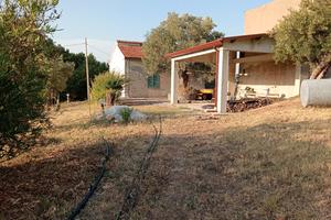 casa con terreno