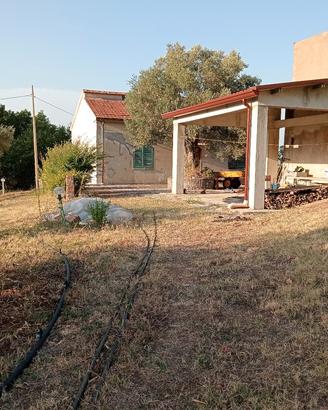 casa con terreno