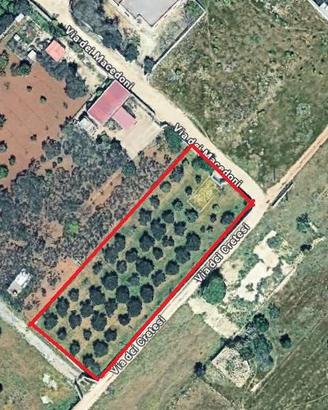 Terreno agricolo