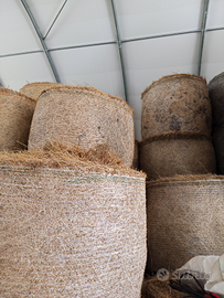 Fieno erba medica a rotoli