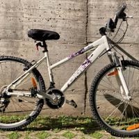 Mountain bike Bianchi RC