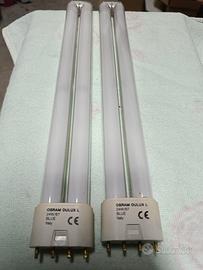 lampadine