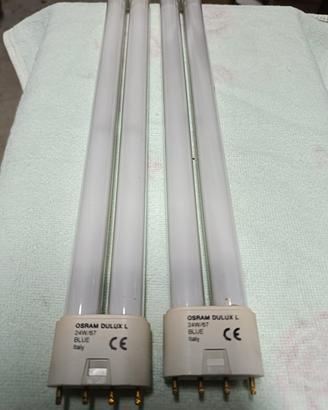 lampadine