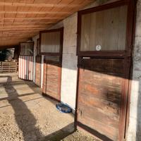 Attrezzature per equitazione