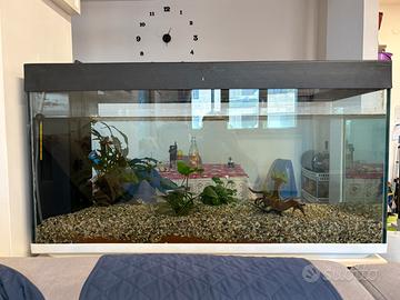 Acquario 180 L
