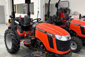 Trattore TAFE modello 6028 M