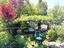 Immagine 22