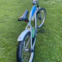 Felt cruiser dirt track da collezione