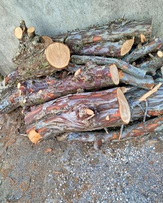 legna da ardere 