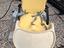 Immagine 1