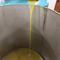 Olio produzione 2025