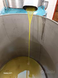 Olio produzione 2025