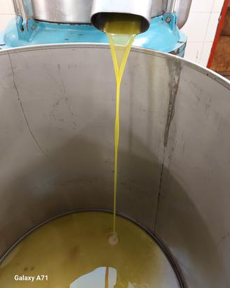 Olio produzione 2025