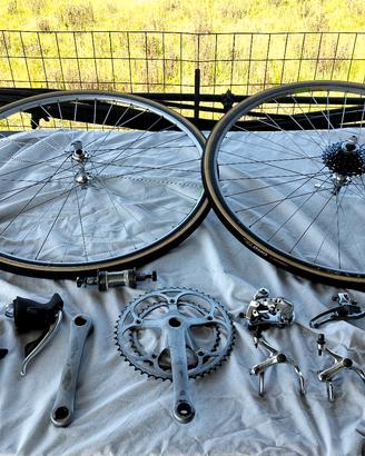 gruppo e ruote campagnolo