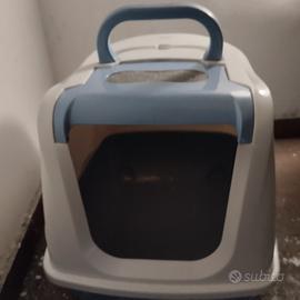 lettiera per gatti 