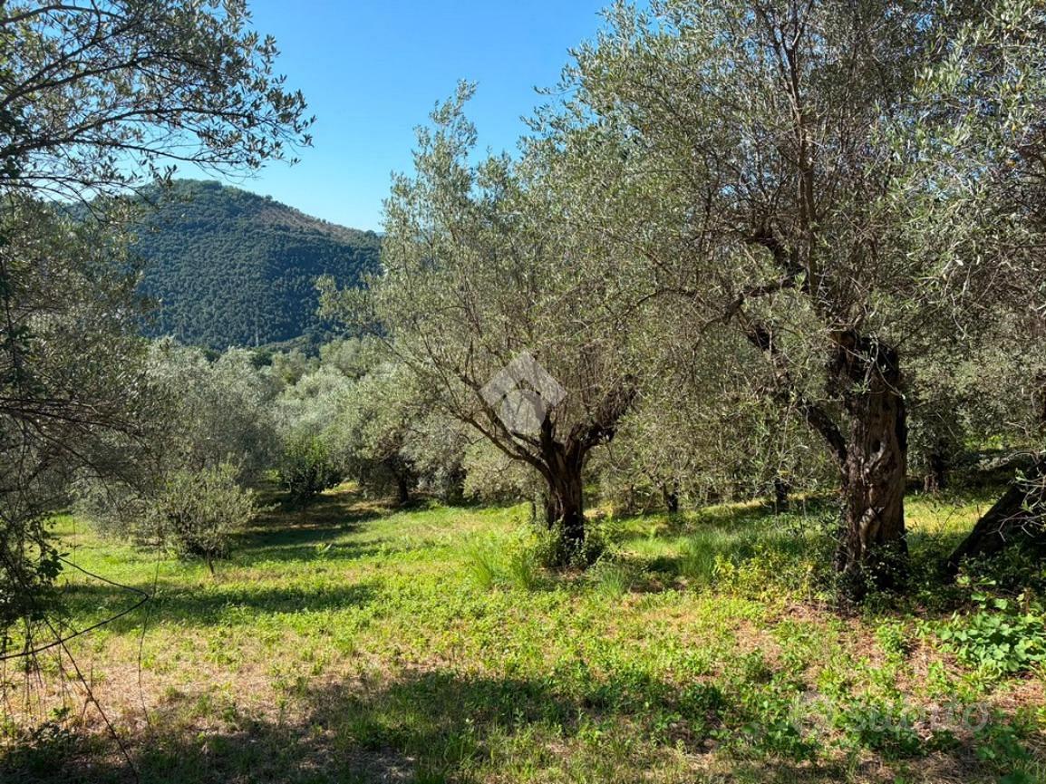 TER. AGRICOLO A SALISANO - Vista 3