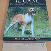 Libro Segugio e cani per pista