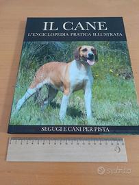 Libro Segugio e cani per pista