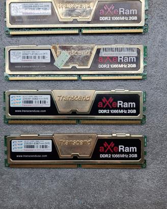 Ram ddr2 trascend 1066Mhz 2gb x4