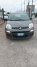fiat-panda-1000-hybrid