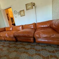 Divano in pelle di Tito Agnoli per Poltrona Frau