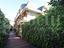 Immagine 19