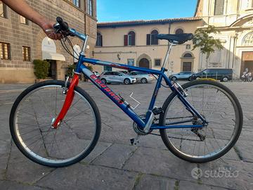 Bicicletta Carraro