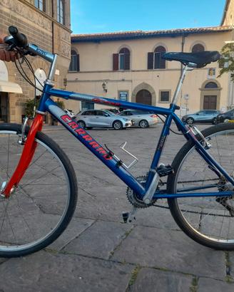 Bicicletta Carraro