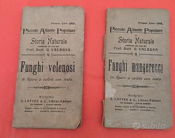 FUNGHI MANGERECCI – FUNGHI VELENOSI