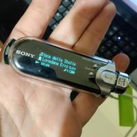 Sony Network Walkman NW-E507