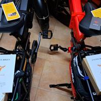 Biciclette Pieghevoli elettriche