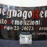 CENTRALINA MOTORE FIAT PUNTO 1.3 MULTIJET 55195817