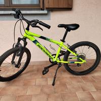 bicicletta raggio 20 