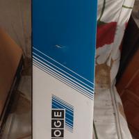 coppia ammortizzatori boge