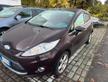 Ford Fiesta 1.4 TDCi 5p. Titanium