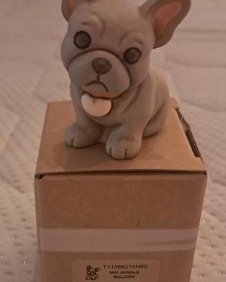 Mini Bulldog Francese Thun