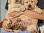 Immagine 7