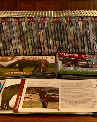 Dvd video enciclopedia del cavallo