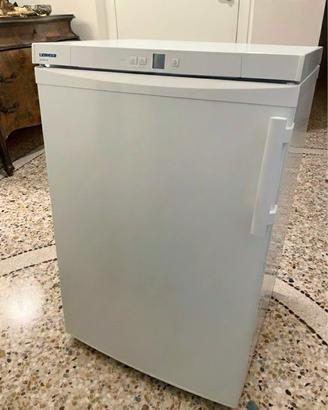 💎 LIEBHERR GP 1213 A++ PARI AL NUOVO (MAI CIBO)