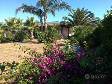 Villa vacanze con giardino vicino campomarino