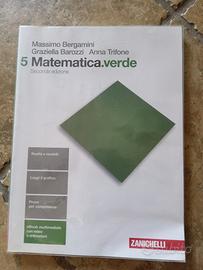 Matematica verde 5