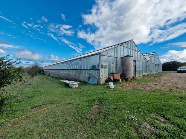 Terreno agricolo di 3ettari con serre