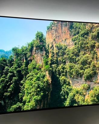TV Sony XG95 - 65 Pollici - Full Led Top di gamma