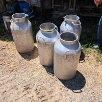 bidoni latte alluminio 50 litri