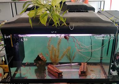 80 x 40 x h50 Cayman ferplast