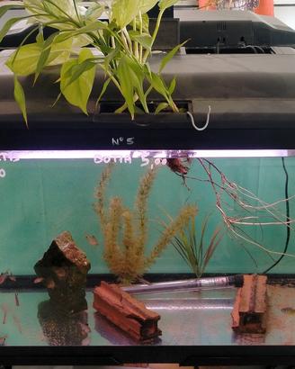 80 x 40 x h50 Cayman ferplast