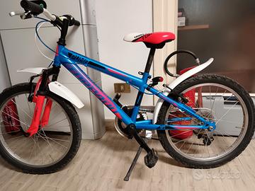 bicicletta da bambino/a