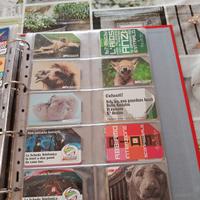 raccoglitore ad anelli con 60schede telefoniche 